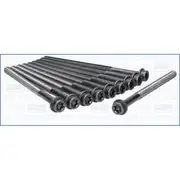 Austral Cylinder Head Bolt Set - 81002000