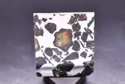 Real Meteorite Seymchan, Pallasite Slice, Polished Etched Slice Gift from Space