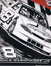 Dale Earnhardt Jr #8 NASCAR Color Board