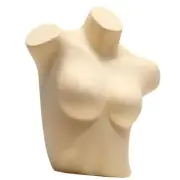 Female Mannequin Torso Underwear Display Stand for Home Craft Shows Swimwear