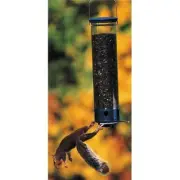 Droll Yankees Inc Yankee Whipper 180 Degree Bird Feeder
