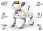 Remote Control Robot Dog for Kids Programmable Interactive Smart Dancing Kid Toy