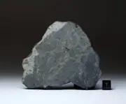 NWA 15197 - 67,6g - first and only approved LL4-6-melt breccia - Meteorite