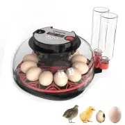 12 Egg Incubator, Automatic Turner With Temperature And Humidity Control,Egg ...