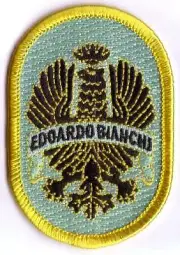 BIANCHI BICYCLE EMBROIDERY CELESTE PATCH CREST VINTAGE BIKE CYCLING HEAD BADGE