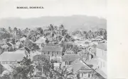 Dominica Aspinall undivided back PC c1905 Roseau (1)