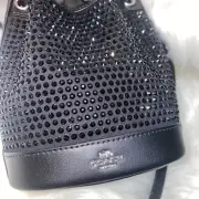 Coach crystal purse New 100 % Authentic MINI BUCKET BAG WITH CRYSTAL