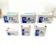12V AGM Deep Cycle Battery 12v 7.2ah 12v 9ah 12v 12ah 12v1.3ah 12v 2.9ah 12v 5ah