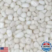 Midwest Hearth Natural Decorative Polished White Pebbles 3/8" Gravel Size (10