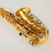 Professional Alto Drop E Saxophone Gold Alto Saxophone with Case & Accessories