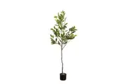 Glamorous Fusion Cameillia Leaf Tree 152cm Artificial Faux Plant Decorative Green
