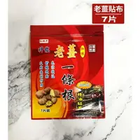 在飛比找樂天市場購物網優惠-【歐美藥局】一條根 老薑貼布 7片 精油霜 金門 按摩油 推