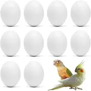 10pcs Solid Parrot Plastic Fake Eggs Realistic Simulated Fake Bird Eggs for Hatching Mini Macaw Cockatoo African Grey Eclectus Trick Birds to Stop Laying Eggs
