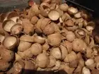 COCONUT SHELLS BOWL HALVES 100% Eco Friendly Natural Organic Ceylon Handmade