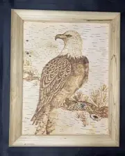 Birch Bark Wood Burning (Pyrography) - The American Eagle on the tree