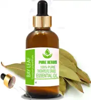 Pure Herbs Bay Leaf Syzygium Polyanthum 100% Pure & Natural Essential Oil hO617