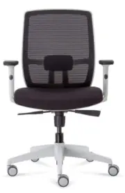 NewRapidline Executive Office Chair Mesh Back Ergonomic Seating White Black Lumi