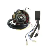 Motor Stator Magneto Coil CDI MODULE Fit For Polaris SPORTSMAN 500 1998-2000 99