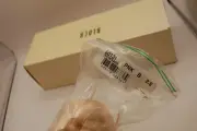 NIB Bloch S0131L Serenade Pointe Shoes $111.00 2.5 B Pink Not Returnable