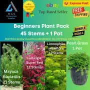 Beginners Aquarium Plant Pack 45 Stems + 1 X POT Live Aquarium Plant