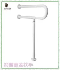 在飛比找Yahoo!奇摩拍賣優惠-【阿貴不貴屋】caesar 凱撒衛浴 GB102N 抑菌面盆