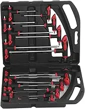 16Pcs Hex Key Set, T-Handle Hex Key Wrench, T Round/T-Ball Hex Star Wrench Key Set,Hexagonal Ball Head,Chrome-Vanadium Steel for Car Maintenance