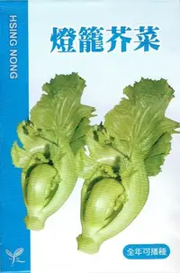 在飛比找Yahoo!奇摩拍賣優惠-燈籠芥菜 全可栽種 【芥菜類種子】興農牌中包裝 每包約4ml