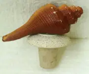 ARTISAN SHELL SHAPED BOTTLE STOPPER - Collectible/Rare