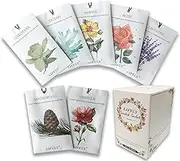 LIFFLY 14 Packs Scented Sachets for Drawers and Closets Lavender, Rose, Jasmine, Ocean, Vanilla, Sandalwood, Gardenia 7 Scent Gift Box
