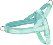 Paipeper Sport Harness,Easywalk No Pull Dog Harness for Small Medium Dogs,Stops Pets from Pulling and Choking,Adjustable,Soft,Comfortable Harness(Green-s)