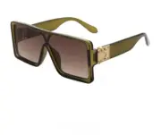 New York Sunglasses Trendy Green Lucite Square and Gold Metal Large Frame Shades