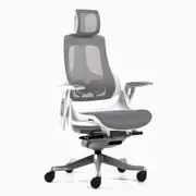 Desky Pro+ Ergonomic Chair