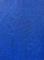 Eliza Jane Jugadai Aboriginal Art COA Supplied 97cm X 70cm