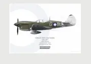 Warhead Illustrated SE P-40N Kittyhawk 80 Sqn RAAF Aircraft Print