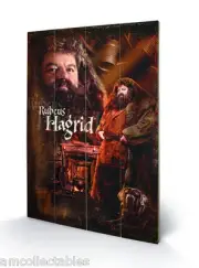 Pyramid Woodblock Print - Harry Potter - Hagrid - 40x60 CM - Wall Type Poster -