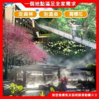 在飛比找Yahoo!奇摩拍賣優惠-(瑪利歐旅遊網)三峽．大板根溫泉度假村『板根區雙人住宿+自助