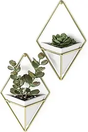 Umbra Trigg Hanging Planter Vase & Geometric Wall Decor Container, Small, White/Brass Decor