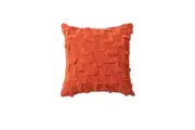 Janni Filled Square Cushion by Accessorize