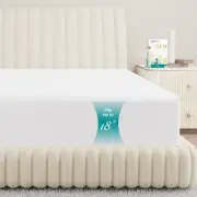 100% Egyptian Cotton Queen Fitted Sheet - 800 Thread Count 16" Deep Pocket, D...