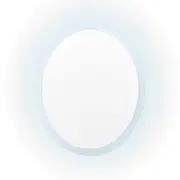 LED Wall Mirror Round Anti-Fog Bathroom 70cm