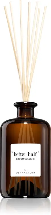 Ambientair The Olphactory Groom Cologne Aroma Diffuser 500 ml
