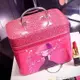 韓少女心化妝包韓版大容量專業手提包硬的化妝箱防水化妝品收納包