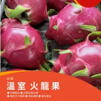 在飛比找蝦皮購物優惠-【果物鮮】 台灣 溫室火龍果  (實體店面進口國產新鮮水果 