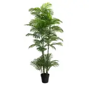 Premium Artificial Potted Multi-trunk Fan Palm 180cm