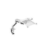 Loctek Pro Mount Gas Spring Laptop Stand Riser - Support 10.1"-17.3" Notebook - White - Max Load 3-9 KG - Clamp Or Grommet Installation - 5 Years Warranty [DLB508 & NCS105 White]