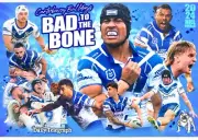 2024 CANTERBURY BULLDOGS NRL RUGBY TEAM POSTER, FREEPOST,BARGAIN,FINALS,1