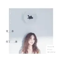 在飛比找Yahoo!奇摩拍賣優惠-楊丞琳 青春住了誰 限量單曲