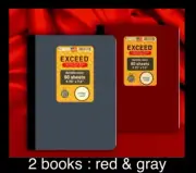 2pk Exceed Composition Book: College Ruled,Heavyweight Paper, Durable Poly Cover