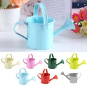 Garden Water Spraying Pot Mini Flower Kettle Iron Small Watering Can Sprinkled