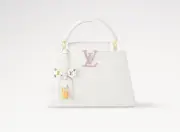 Louis Vuitton x Takashi Murakami Capucines BB Limited Edition M13253 BRAND NEW